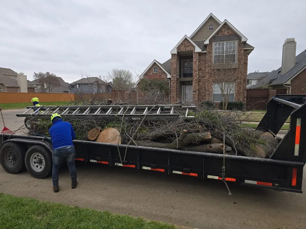 Expert Lot Clearing with proper safety equipment in Raymond